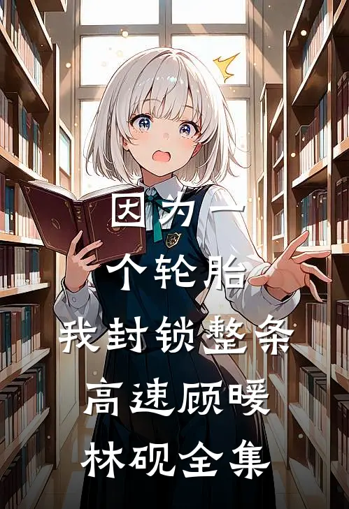 因为一个轮胎，我封锁整条高速顾暖林砚全集
