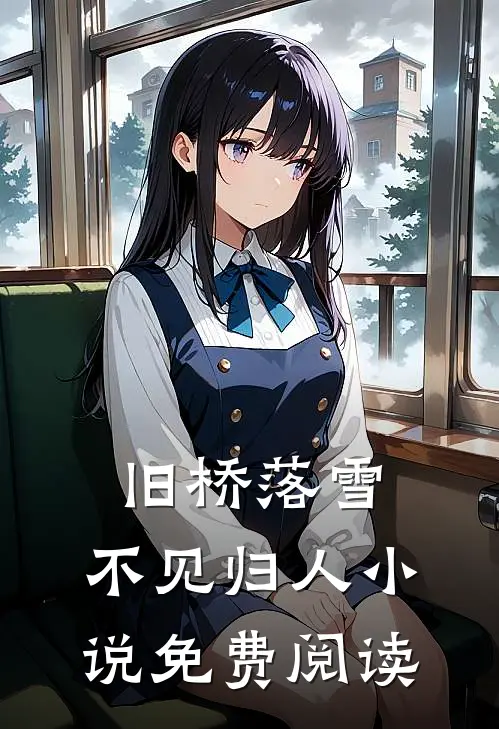 旧桥落雪，不见归人小说免费阅读