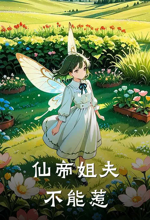 仙帝姐夫不能惹