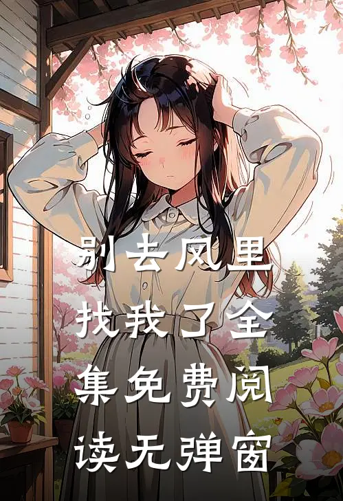 别去风里找我了全集免费阅读无弹窗
