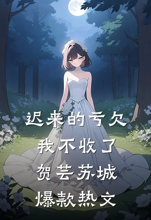 迟来的亏欠，我不收了贺芸苏城爆款热文