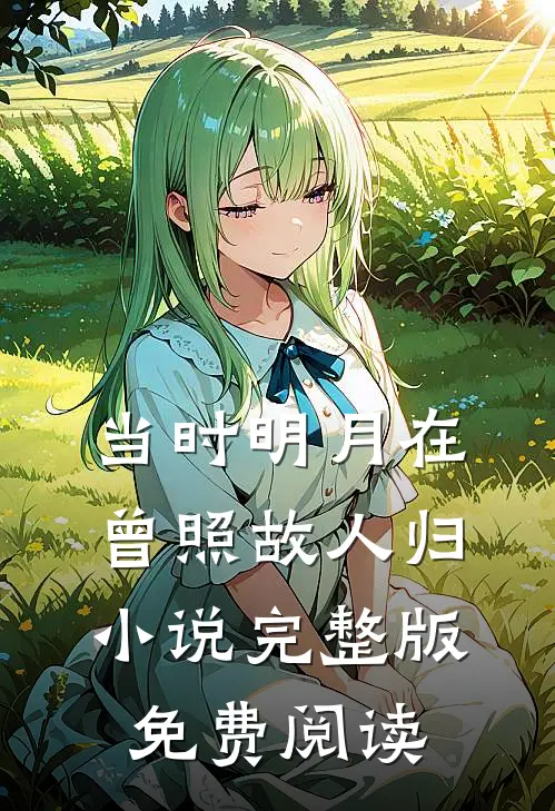 当时明月在，曾照故人归小说完整版免费阅读