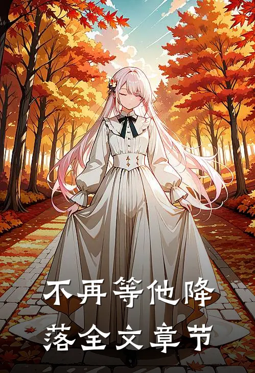 不再等他降落全文章节