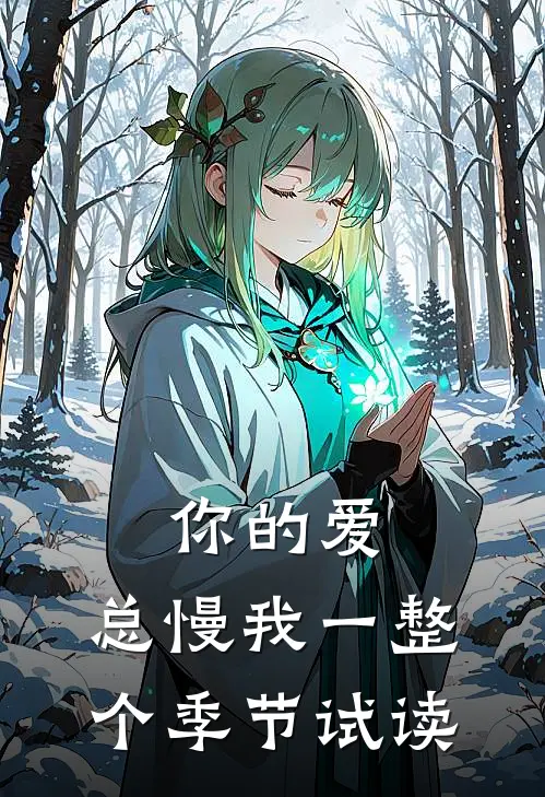 你的爱，总慢我一整个季节试读