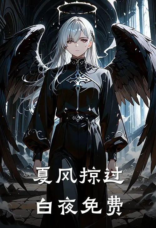 夏风掠过白夜免费