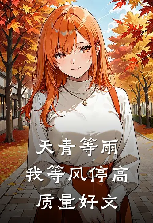 天青等雨，我等风停高质量好文