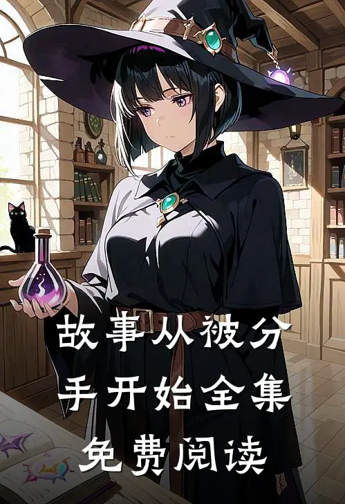 故事从被分手开始全集免费阅读