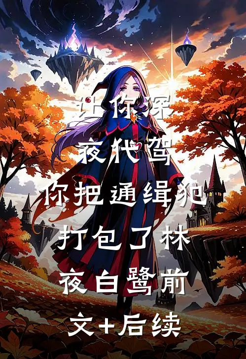 让你深夜代驾，你把通缉犯打包了林夜白鹭前文+后续