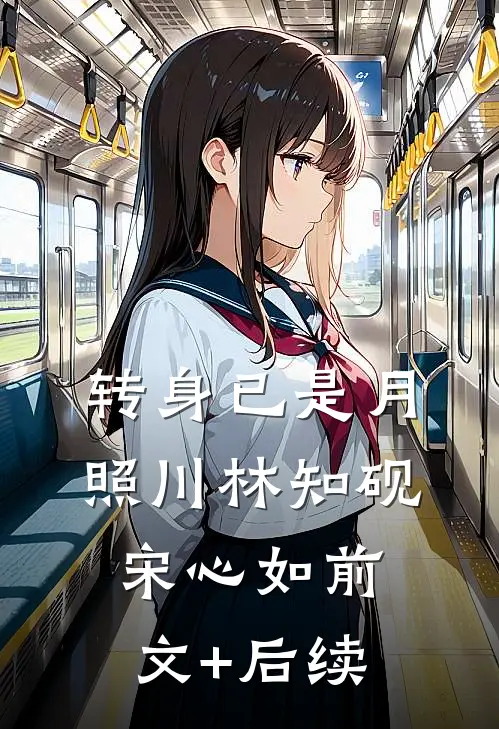 转身已是月照川林知砚宋心如前文+后续