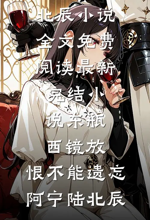 东瓶西镜放，恨不能遗忘阿宁陆北辰小说全文免费阅读_最新完结小说东瓶西镜放，恨不能遗忘阿宁陆北辰
