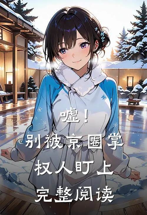 嘘！别被京圈掌权人盯上完整阅读