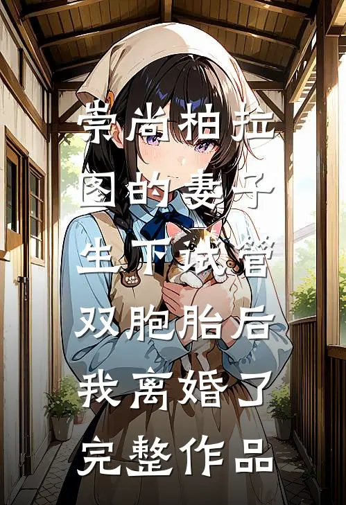 崇尚柏拉图的妻子生下试管双胞胎后，我离婚了完整作品
