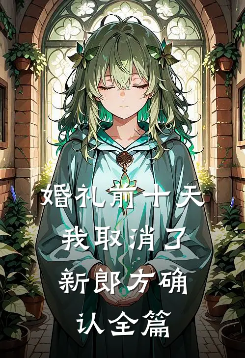 婚礼前十天，我取消了新郎方确认全篇