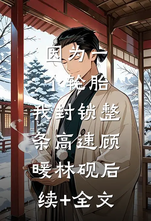 因为一个轮胎，我封锁整条高速顾暖林砚后续+全文