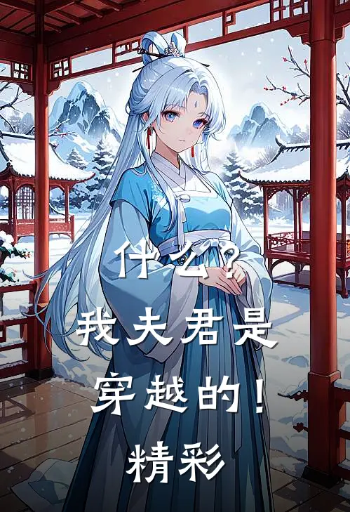 什么？我夫君是穿越的！精彩