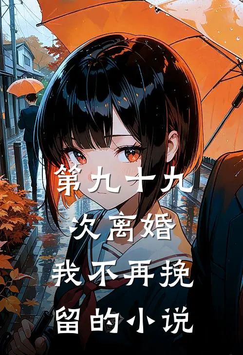 第九十九次离婚，我不再挽留的小说