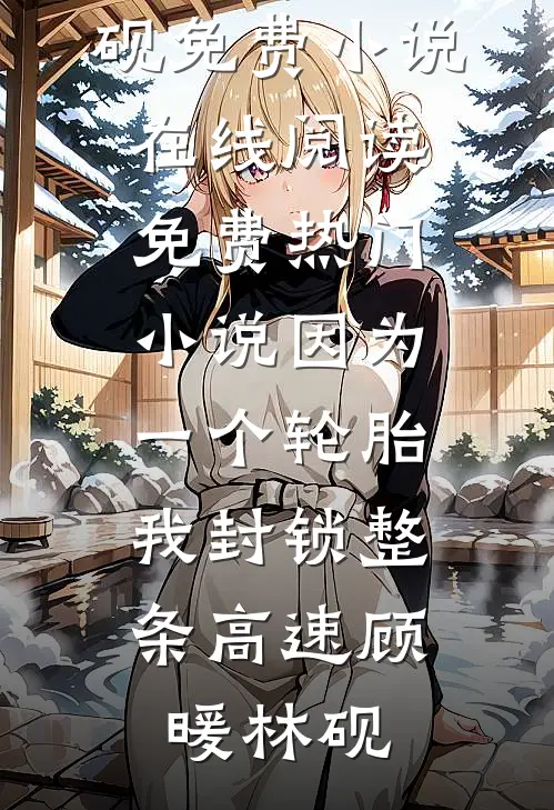 因为一个轮胎，我封锁整条高速(顾暖林砚)免费小说在线阅读_免费热门小说因为一个轮胎，我封锁整条高速顾暖林砚