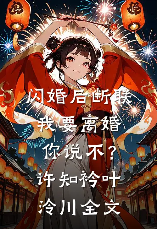 闪婚后断联，我要离婚你说不？许知衿叶泠川全文