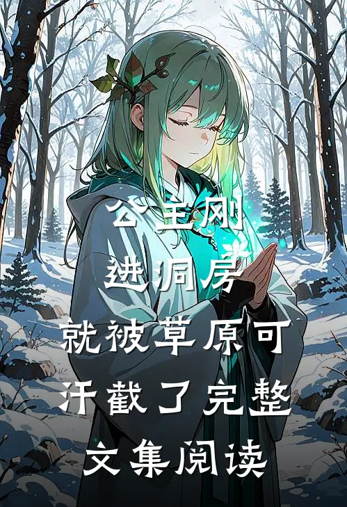 公主刚进洞房，就被草原可汗截了完整文集阅读