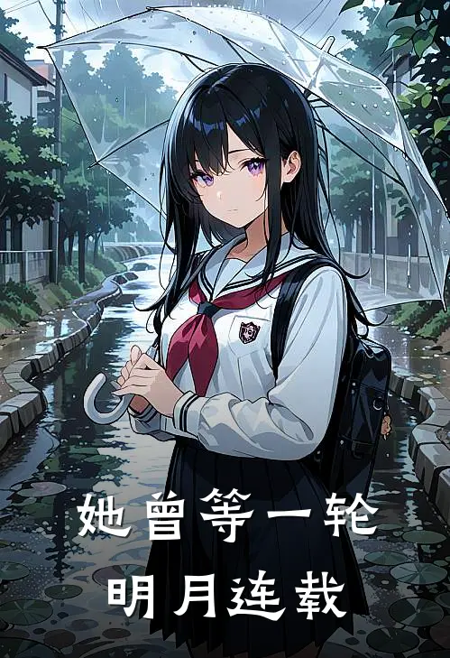 她曾等一轮明月连载