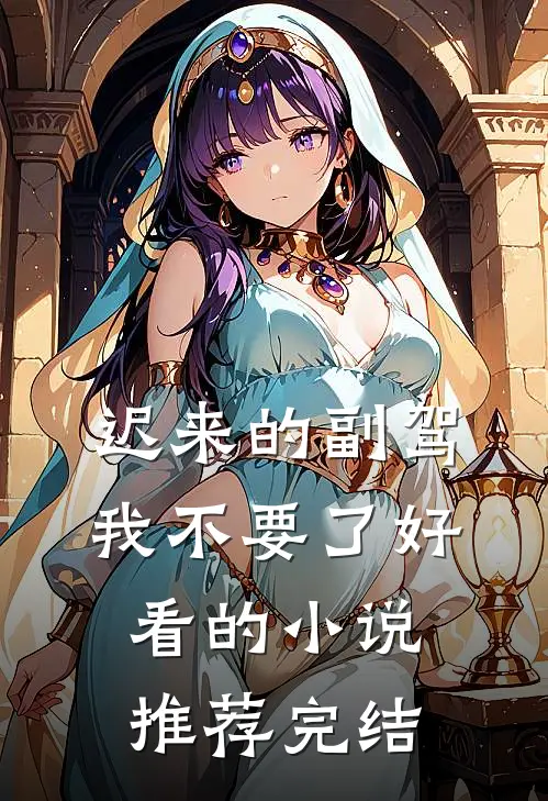 迟来的副驾，我不要了好看的小说推荐完结