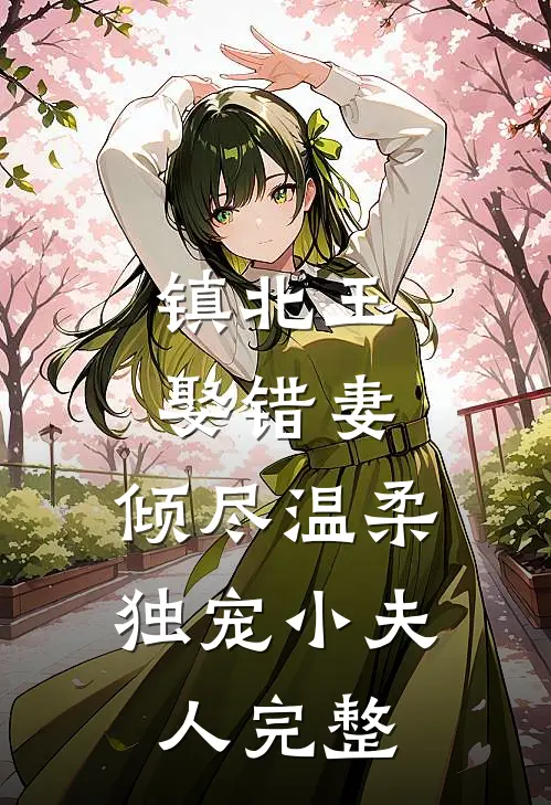 镇北王娶错妻，倾尽温柔独宠小夫人完整