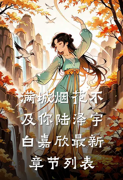 满城烟花不及你陆泽宇白嘉欣最新章节列表
