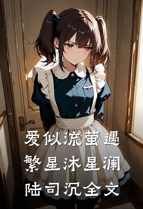 爱似流萤遇繁星沐星澜陆司沉全文