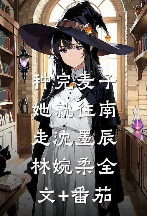 种完麦子，她就往南走沈墨辰林婉柔全文+番茄