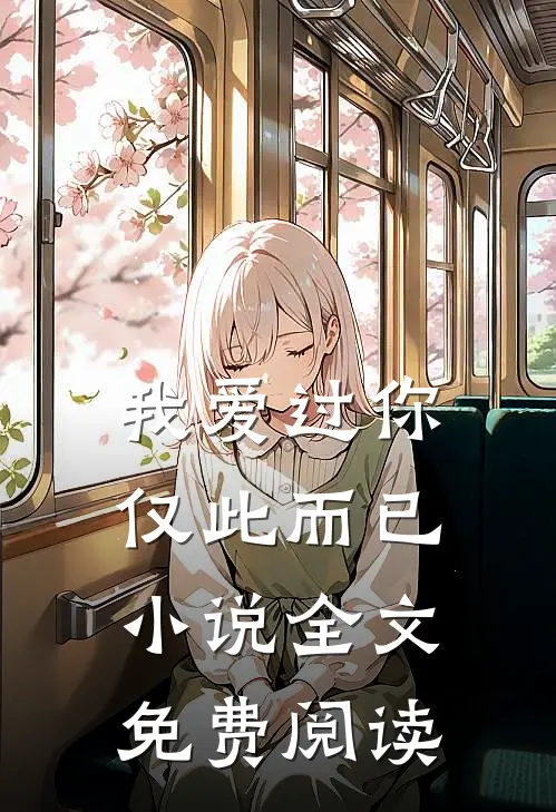我爱过你，仅此而已小说全文免费阅读