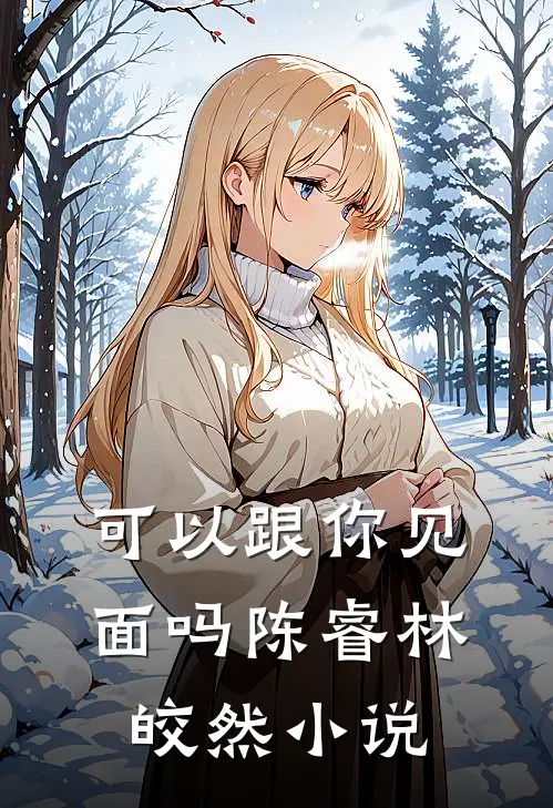 可以跟你见面吗陈睿林皎然小说