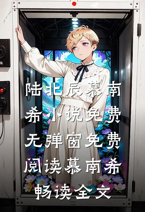陆北辰慕南希小说免费无弹窗免费阅读慕南希畅读全文