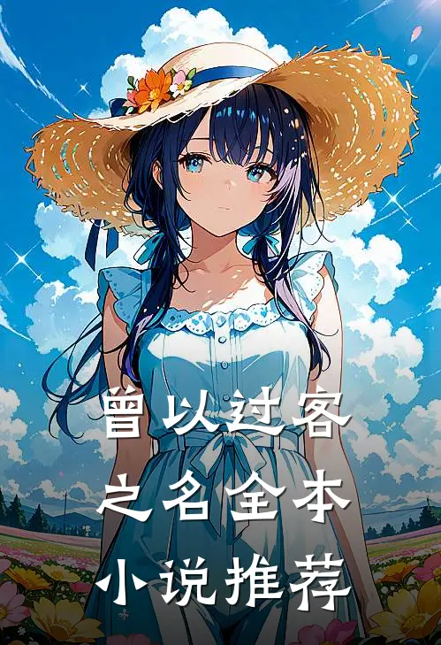 曾以过客之名全本小说推荐