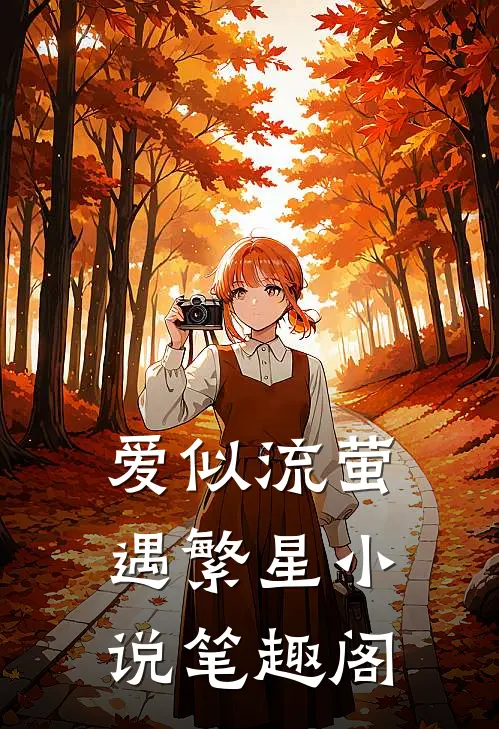 爱似流萤遇繁星小说笔趣阁