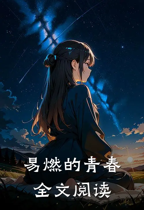 易燃的青春全文阅读