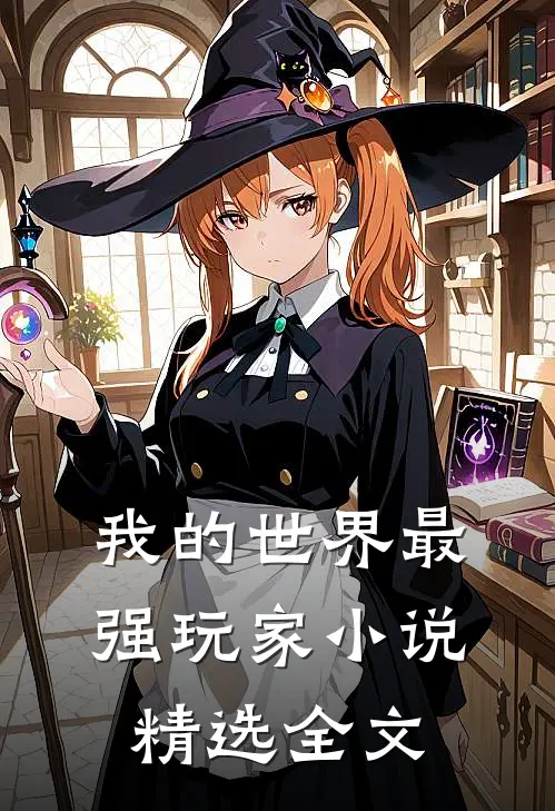 我的世界最强玩家 小说精选全文