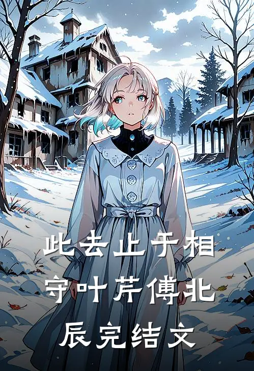 此去止于相守叶芹傅北辰完结文