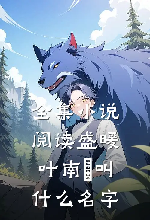 全集小说阅读盛暖叶南烆叫什么名字