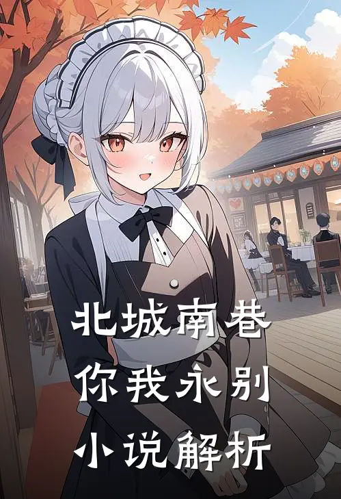 北城南巷，你我永别小说解析