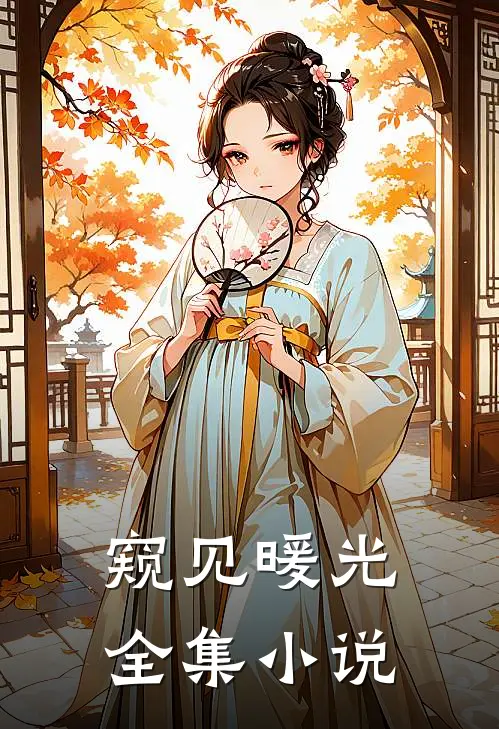 窥见暖光全集小说
