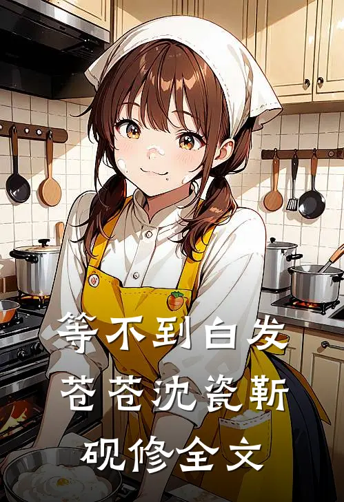 等不到白发苍苍沈瓷靳砚修全文