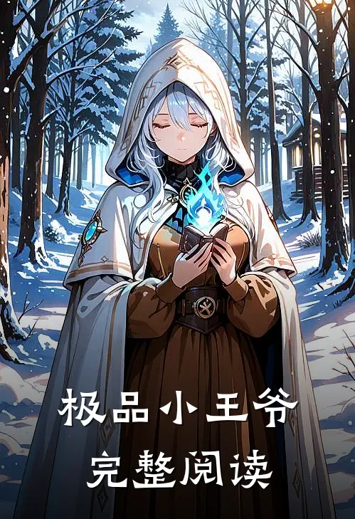 极品小王爷完整阅读