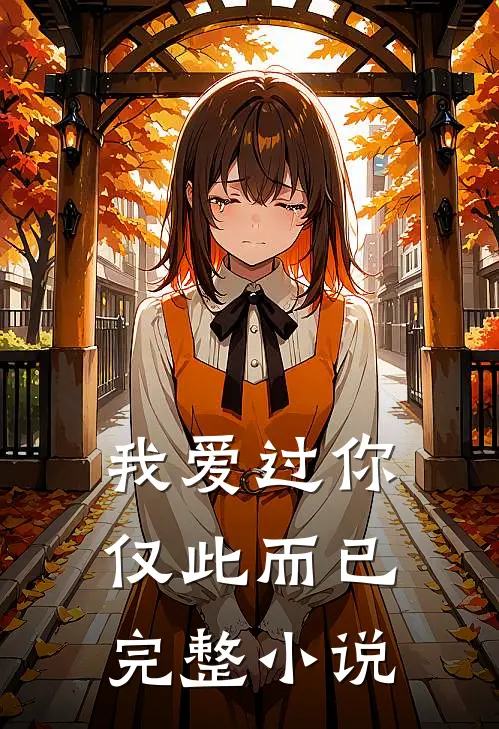 我爱过你，仅此而已完整小说