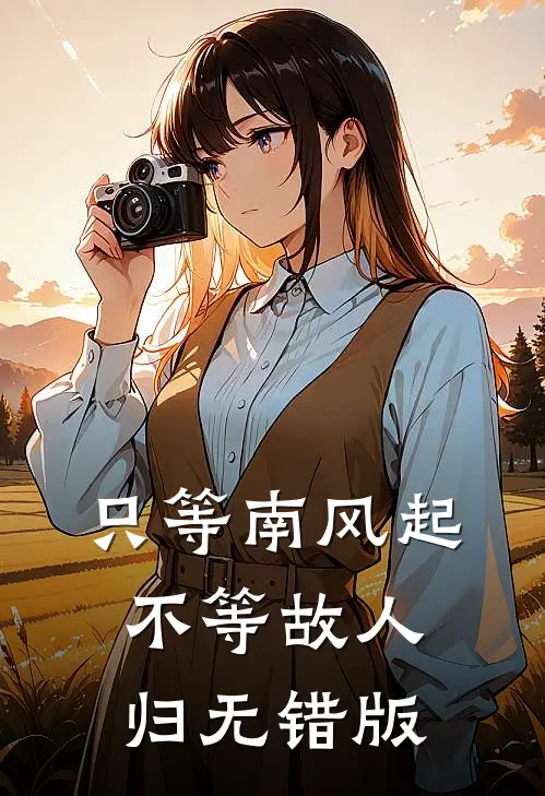 只等南风起，不等故人归无错版