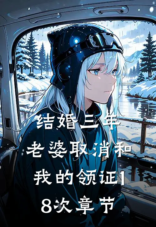 结婚三年，老婆取消和我的领证18次章节