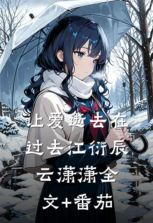 让爱逝去在过去江衍辰云潇潇全文+番茄