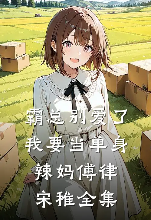 霸总别爱了，我要当单身辣妈傅律宋稚 全集