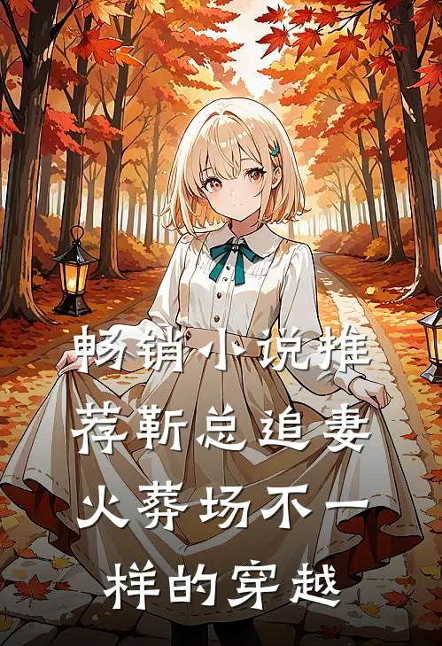 畅销小说推荐靳总追妻火葬场不一样的穿越