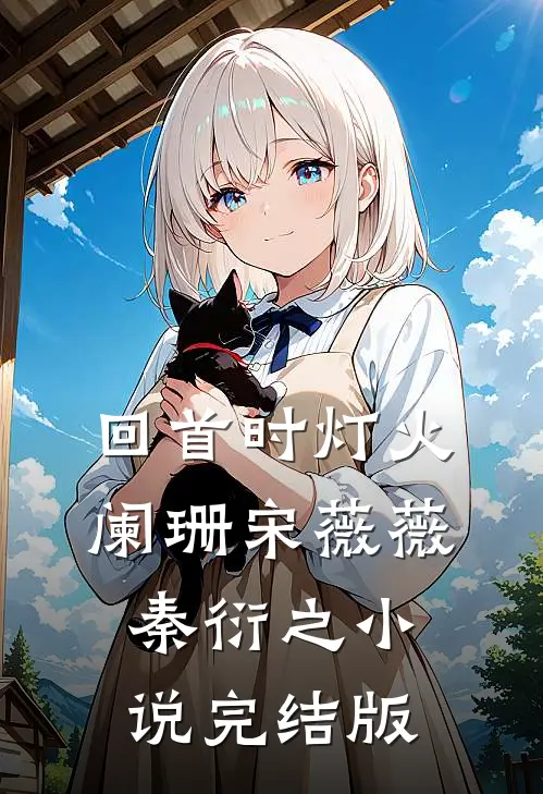 回首时灯火阑珊宋薇薇秦衍之小说完结版