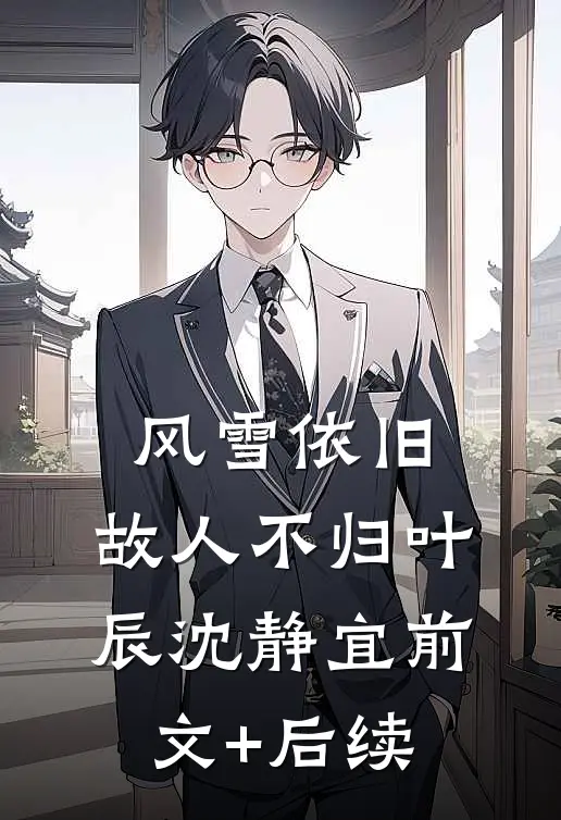 风雪依旧，故人不归叶辰沈静宜前文+后续